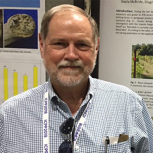 dr-david-n-appel-tamu