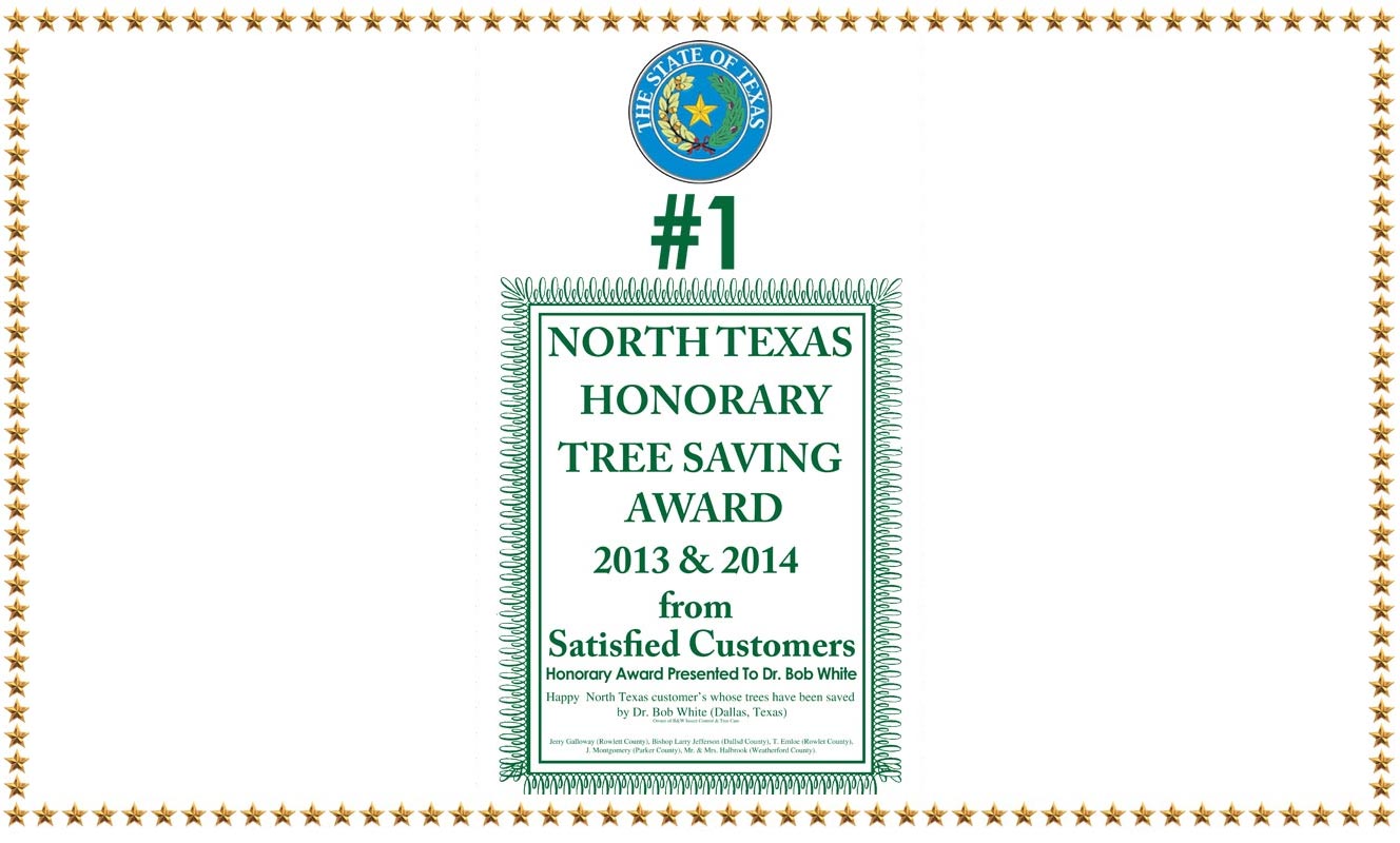 north-texas-honorary-award-with-stars