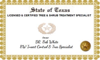 treatment-specialist-award