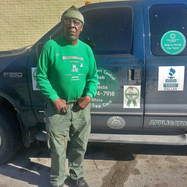 bob-white-bw-insect-control-tree_care-disease-oak-wilt-nitidulid-beetle-treatment-texas