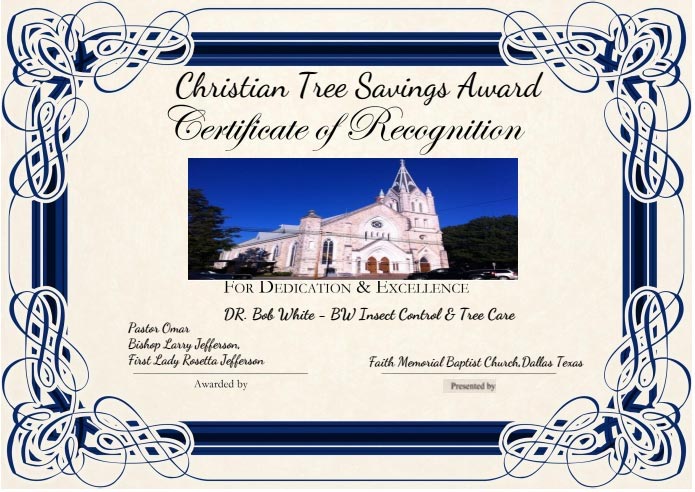 christian-tree