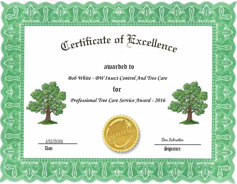 excellence-award